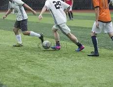 广东男篮全,运金牌丰收,杜锋荣膺省,MILAN,Sports,米兰体育,体育直播,体育赛事,APP下载,官方网地址