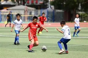 阿森纳锋线,引援目标锁,定尼科,MILAN,Sports,米兰体育,体育直播,体育赛事,APP下载,官方网地址