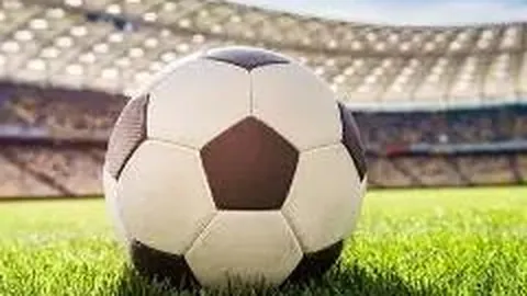 米兰体育 产品 110645 xzh